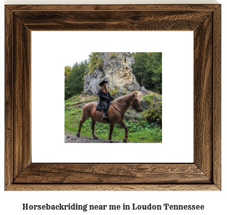 horseback riding near me in Loudon, Tennessee